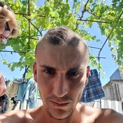 ���������� ��������, ���� ������� �������, 33 ����, ������������ ��� ������, ����� � ���������, c�������� ���������, ���������