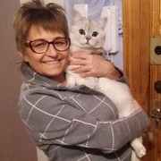 ���������� ��������, ���� ������� �������, 46 ���, ������������ ��� ����� � ���������, c�������� ���������