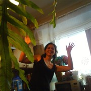  -,   Nata, 42 ,     , c 