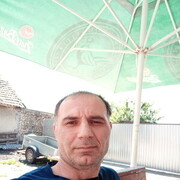 Mojmirovce,  , 50