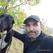 ���������� ���������, ���� ������� ���������, 45 ���, ������������ ��� ������, ����� � ���������