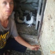  ,   Gayrat, 50 ,   