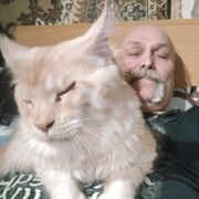 ���������� ������, ���� ������� ������, 52 ����, ������������ ��� ������, ����� � ���������, ���������