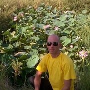 ���������� ������������, ���� ������� ����, 46 ���, ������������ ��� c�������� ���������