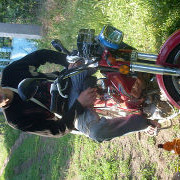  ,   Valik, 42 ,   