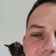 ,   , 37 ,   ,   