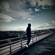 ���������� ������, ���� ����� ���, 22 ����, ������������ ��� ������, ����� � ���������