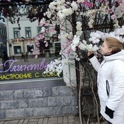 ���������� �����-���������, ���� ������� �������, 27 ���, ������������ ��� ������, ����� � ���������