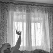 ���������� �����, ���� ������� ������, 26 ���, ������������ ��� ������, ����� � ���������