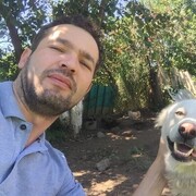 ���������� ������, ���� ������� ����, 38 ���, ������������ ��� ������, ����� � ���������