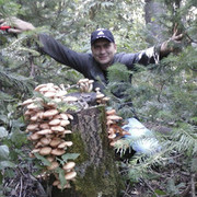 ���������� ����-�����������, ���� ������� ������, 47 ���, ������������ ��� ������, ����� � ���������, c�������� ���������, ���������