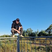 ���������� �����-���������, ���� ������� �����, 38 ���, ������������ ��� c�������� ���������