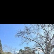 ���������� �����-���������, ���� ������� �����, 36 ���, ������������ ��� ������