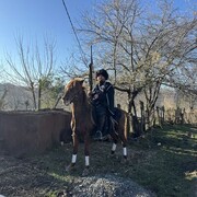  ,  Giorgi, 26