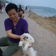  ,   Bebooman, 40 ,   