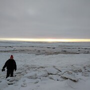 ���������� ������, ���� ������� ������, 41 ���, ������������ ��� ������, ����� � ���������, c�������� ���������, ���������