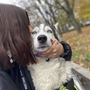 ���������� ������, ���� ������� ����, 31 ���, ������������ ��� ������, ����� � ���������, c�������� ���������