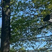 ���������� ���������, ���� ������� ����, 27 ���, ������������ ��� ������, ����� � ���������