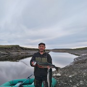  ,   , 53 ,     , c 