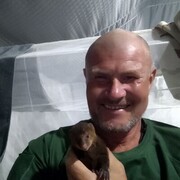  ,   , 59 ,  