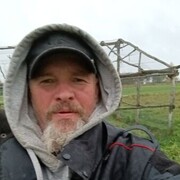  ,   , 56 ,   ,   , c , 