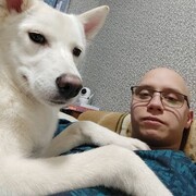 ���������� ���������, ���� ������� �����, 28 ���, ������������ ��� ������, ����� � ���������, c�������� ���������