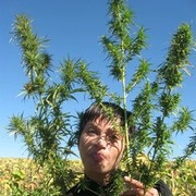 ���������� ���������, ���� ������� ������, 45 ���, ������������ 