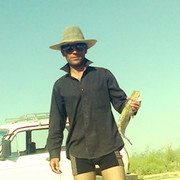 ���������� ������, ���� ������� Davron, 38 ���, ������������ ��� ������