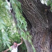 ���������� ���������, ���� ������� �����, 43 ����, ������������ ��� ������, ����� � ���������