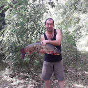  ,   , 57 ,   ,   , c 