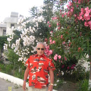 ������ 2015�.