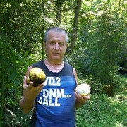 ���������� ������, ���� ������� ������, 66 ���, ������������ ��� ������, ����� � ���������