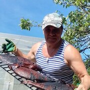 ���������� �����������, ���� ������� �������, 55 ���, ������������ ��� ������, ����� � ���������, c�������� ���������