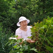 ���������� ������, ���� ������� ����, 68 ���, ������������ ��� ������, ����� � ���������