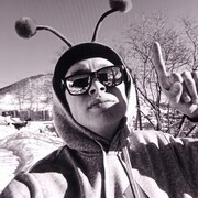 ���������� ������, ���� ����� ������, 24 ����, ������������ ��� ������, ����� � ���������, c�������� ���������, ���������