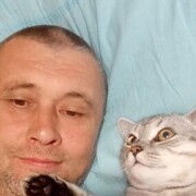  ,   , 43 ,   c 