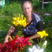  ,   , 52 ,   ,   
