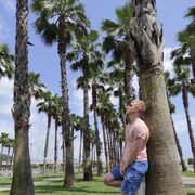 ���������� ����������, ���� ������� �������, 38 ���, ������������ ��� ������, ����� � ���������, ���������