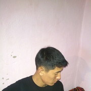 ���������� ������, ���� ������� 0705838695, 31 ���, ������������ ��� ����� � ���������, c�������� ���������, ���������