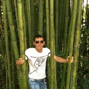 ���������� ������, ���� ������� ������, 38 ���, ������������ ��� ������, ����� � ���������, c�������� ���������, ���������