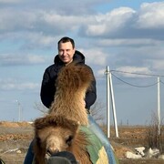 ���������� ������, ���� ������� �����, 43 ����, ������������ ��� ������, ����� � ���������