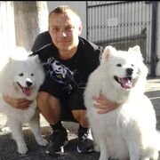 ���������� �����������, ���� ������� ������, 38 ���, ������������ ��� ������, ����� � ���������