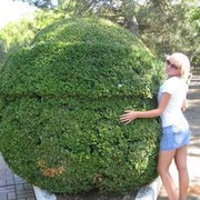  ,   , 42 ,  