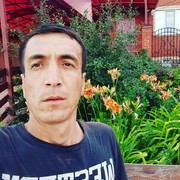 ���������� �������, ���� ������� Olik, 38 ���, ������������ ��� ������, ����� � ���������, c�������� ���������