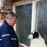 ���������� �����, ���� ������� ������, 52 ����, ������������ ��� c�������� ���������, ���������