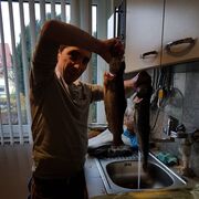 ���������� ������, ���� ������� Rafayel, 43 ����, ������������ ��� ������, ����� � ���������, c�������� ���������