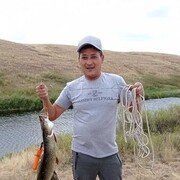  ,   Arman, 47 ,   ,   , c , 