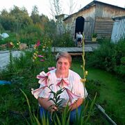  ,   , 52 ,   c , 