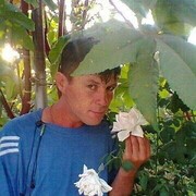 ���������� ������, ���� ������� �������, 44 ����, ������������ ��� c�������� ���������