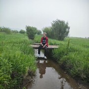 ���������� �������, ������ ����, 20